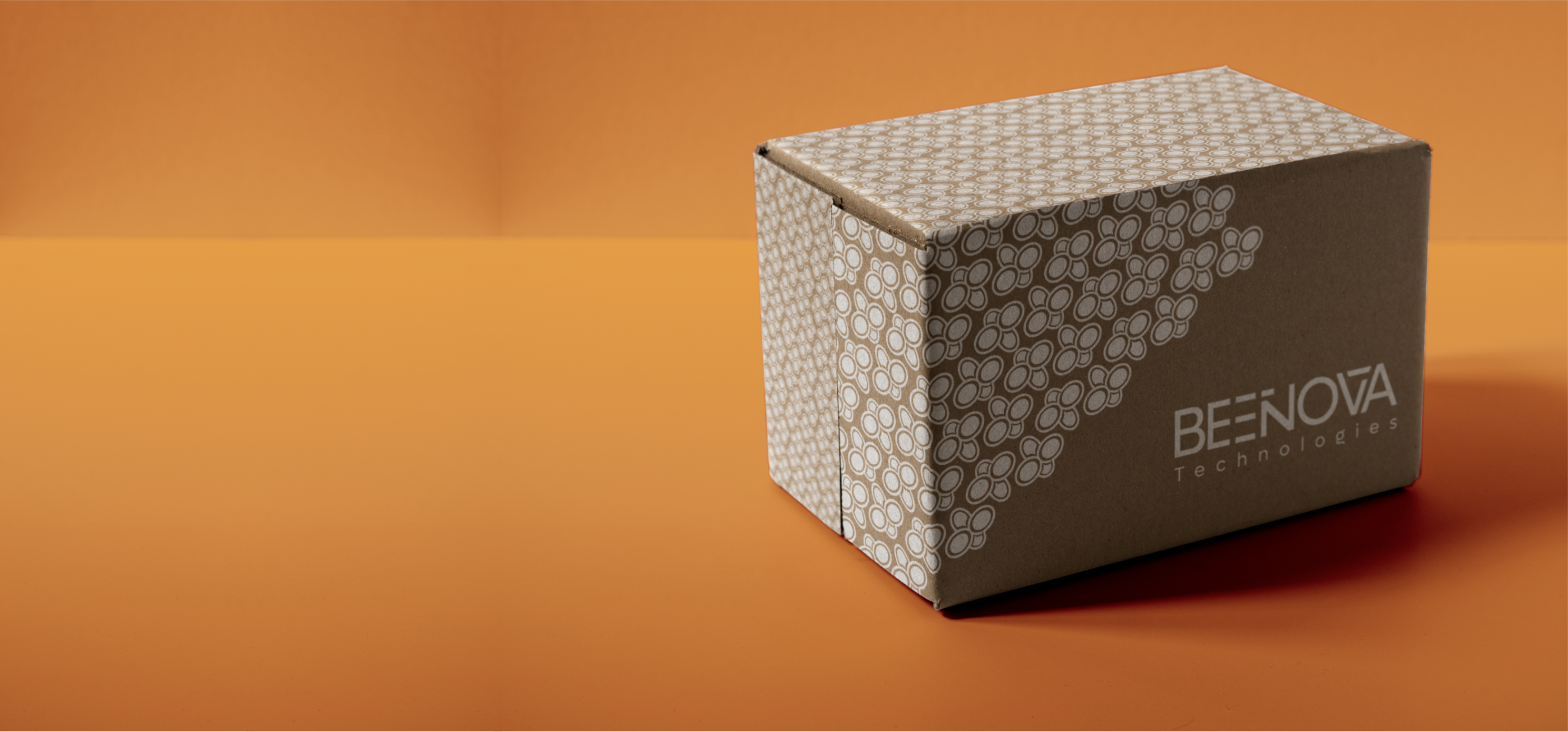 Mockup de embalagem Beenova